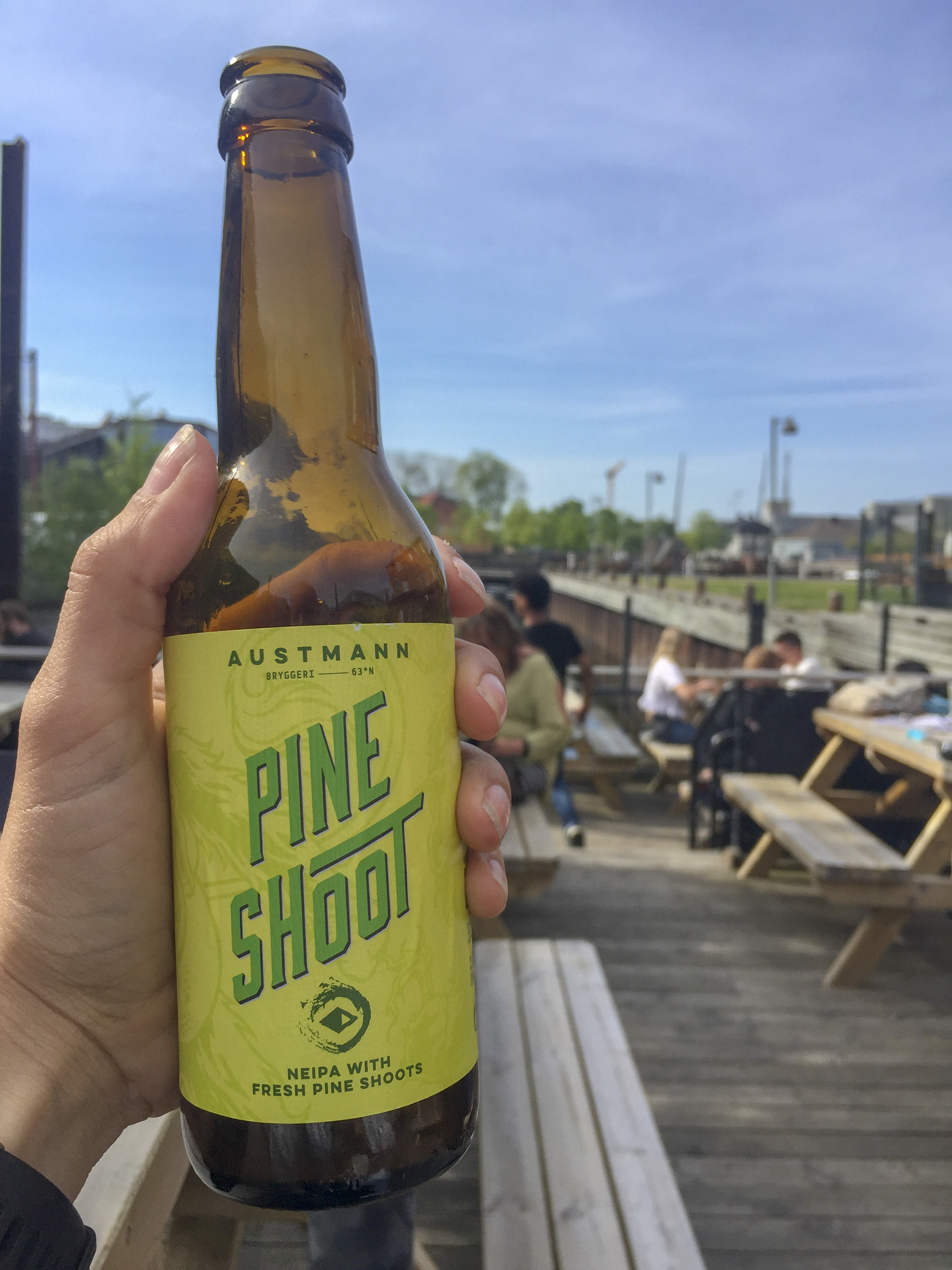 Local IPA Beer Tasting in Norway