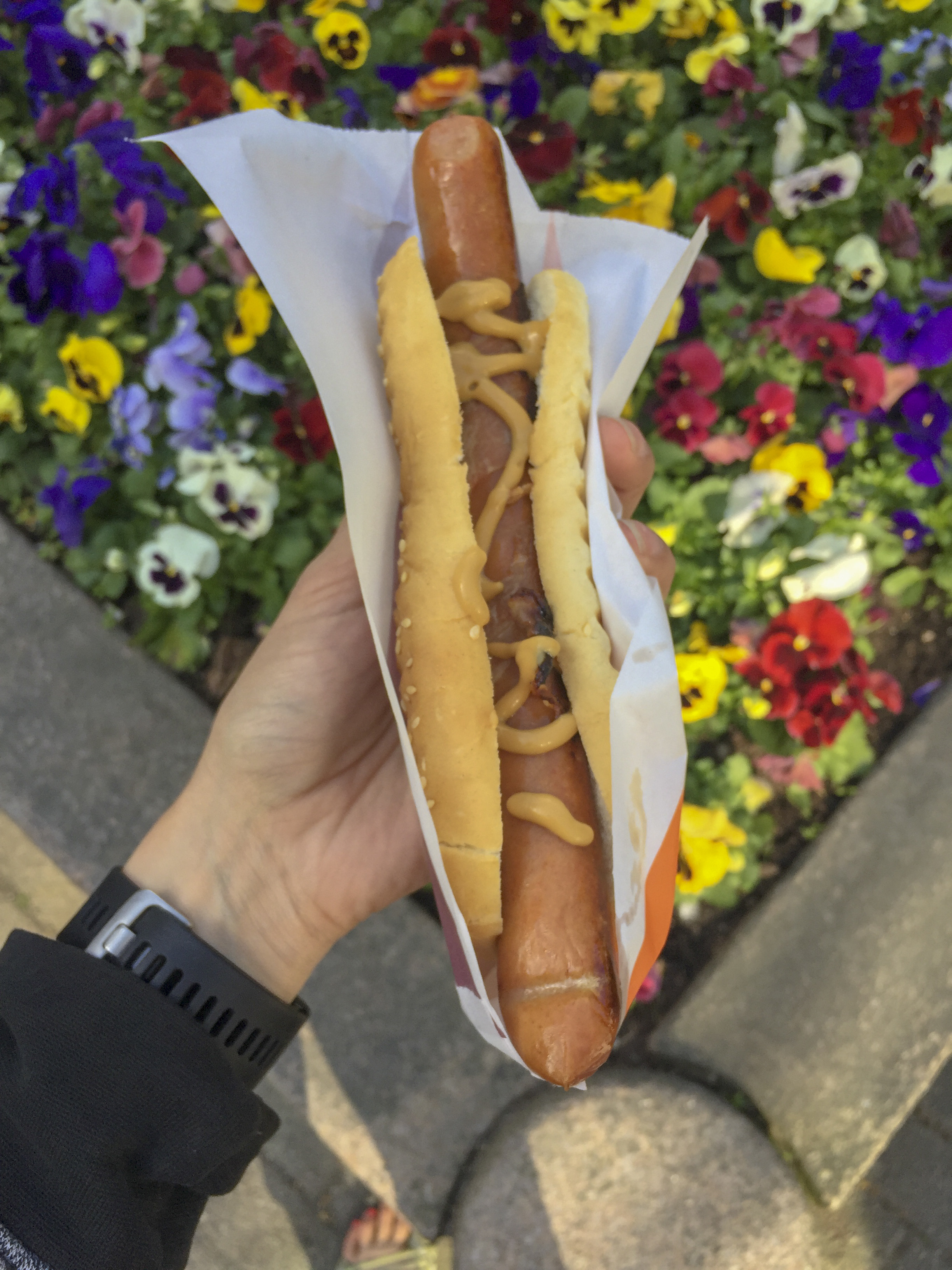 Øst-Pølse, Cheese-Filled Sausage, a Norwegian Favorite